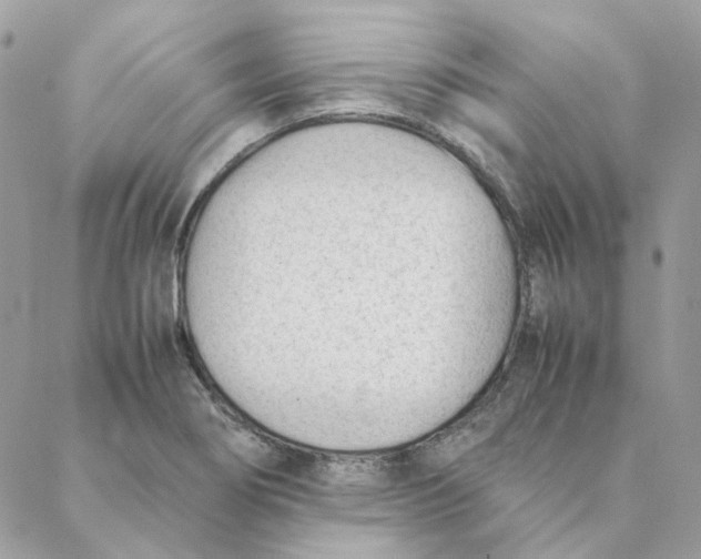 X0000088581274200706151702