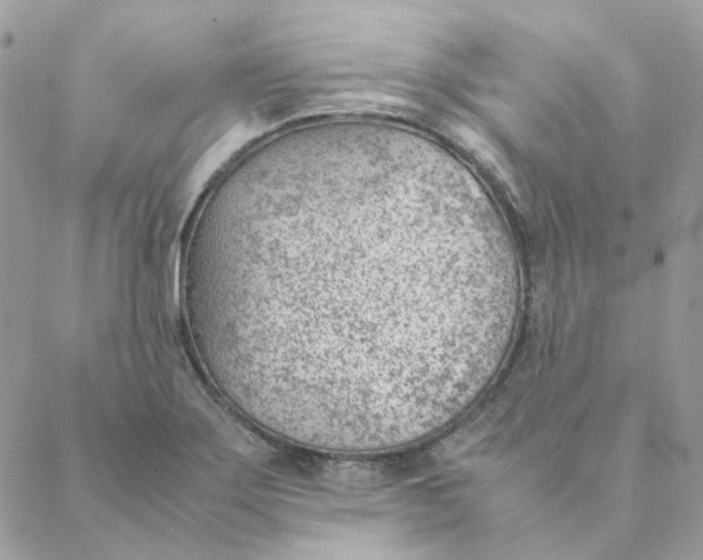 X0000088581275200706151702