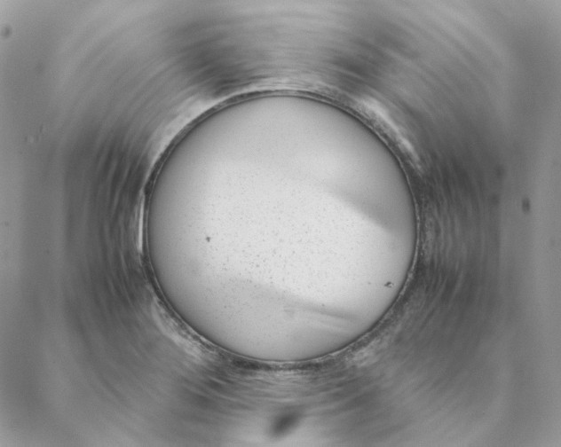 X0000088581276200706151702