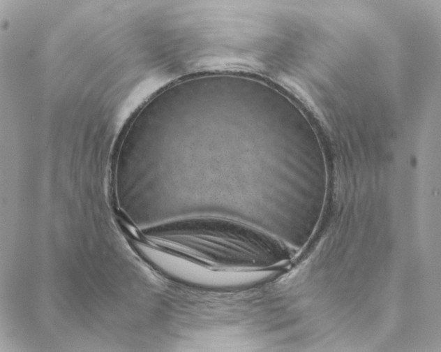 X0000088581277200706151702