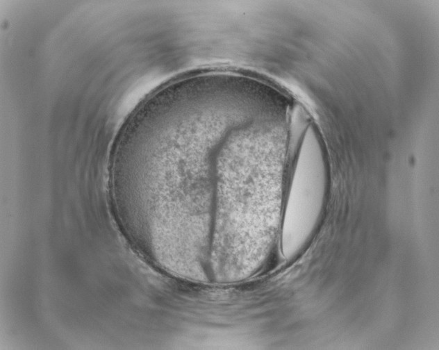 X0000088581279200706151702