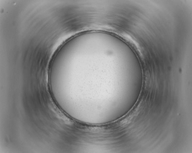 X0000088581280200706151702