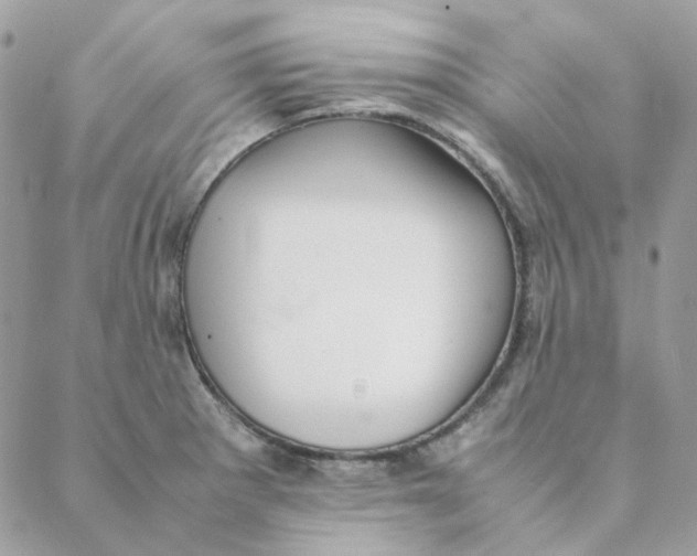 X0000088581281200706151702