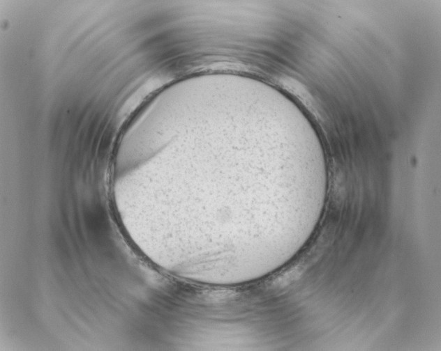 X0000088581282200706151702