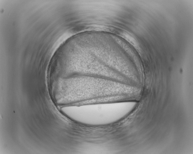 X0000088581283200706151702