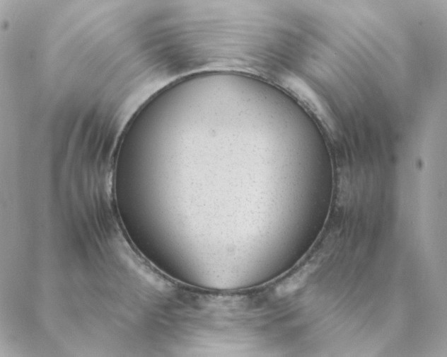 X0000088581284200706151702