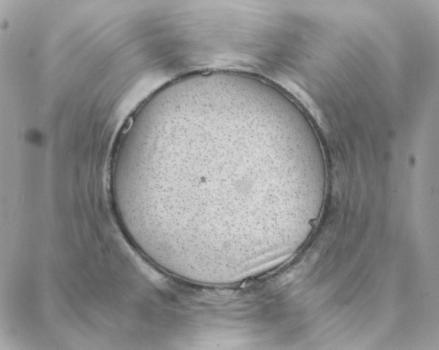 X0000088581285200706151702