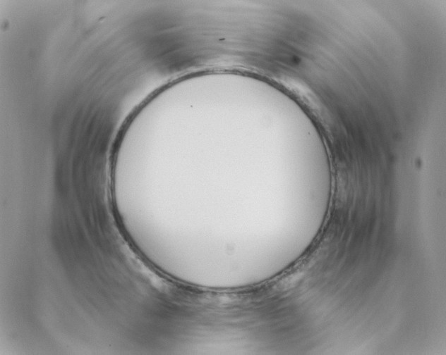 X0000088581286200706151702