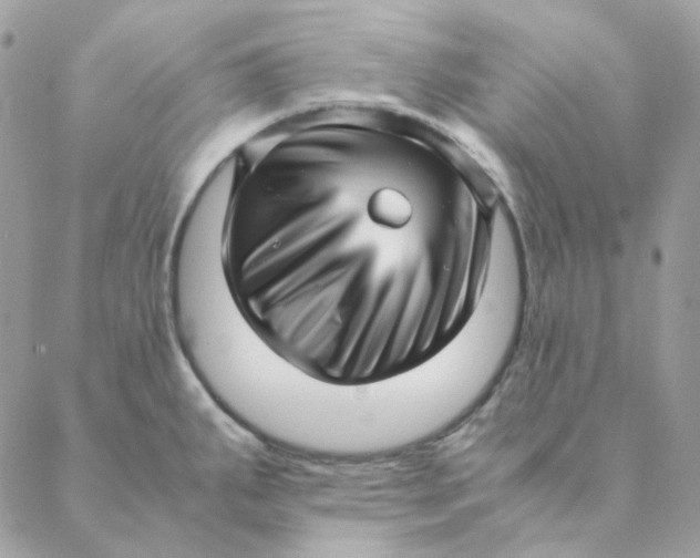 X0000088581287200706151702