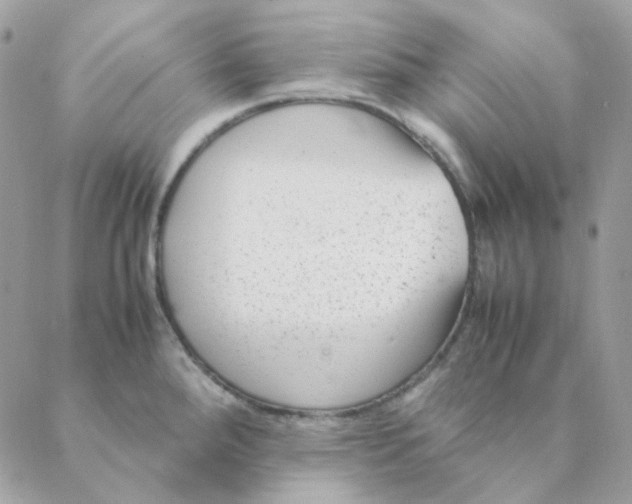 X0000088581288200706151702