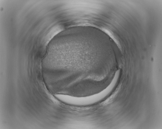 X0000088581289200706151702