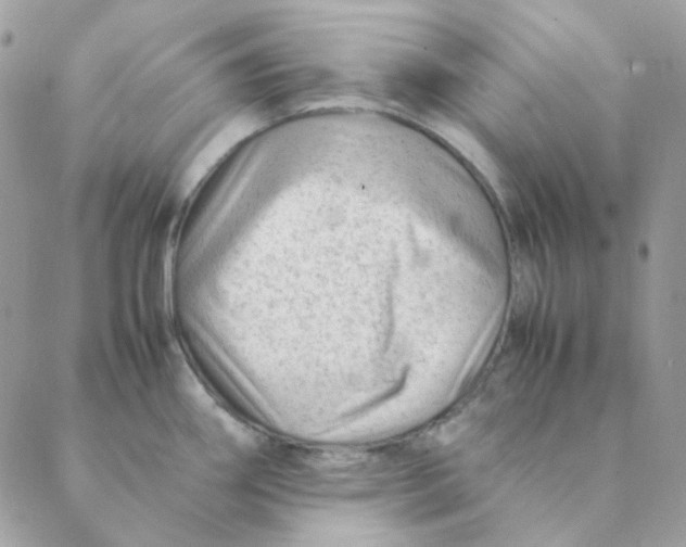 X0000088581290200706151702