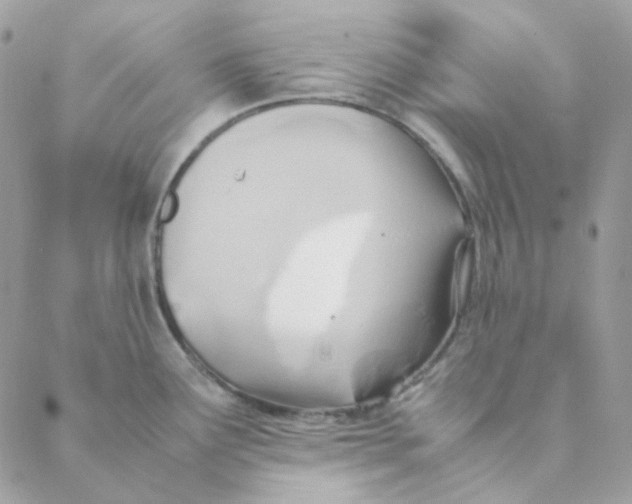 X0000088581291200706151702