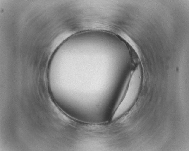 X0000088581293200706151702