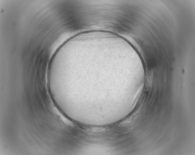 X0000088581294200706151702