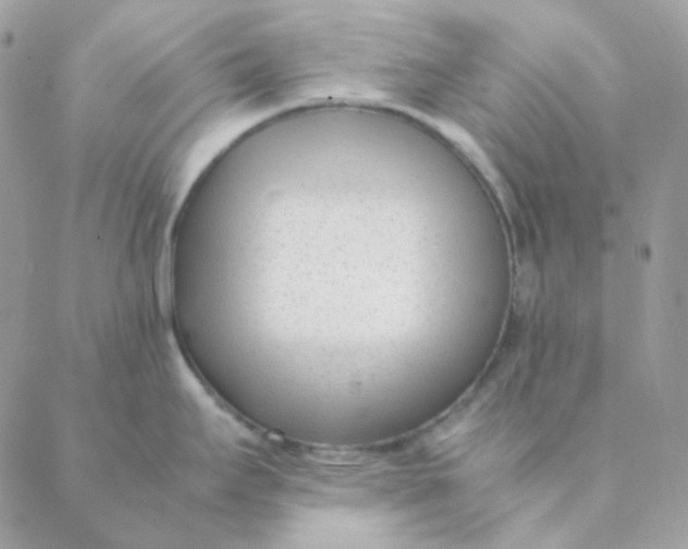 X0000088581295200706151702