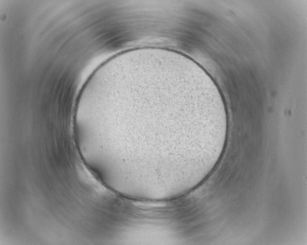 X0000088581296200706151702