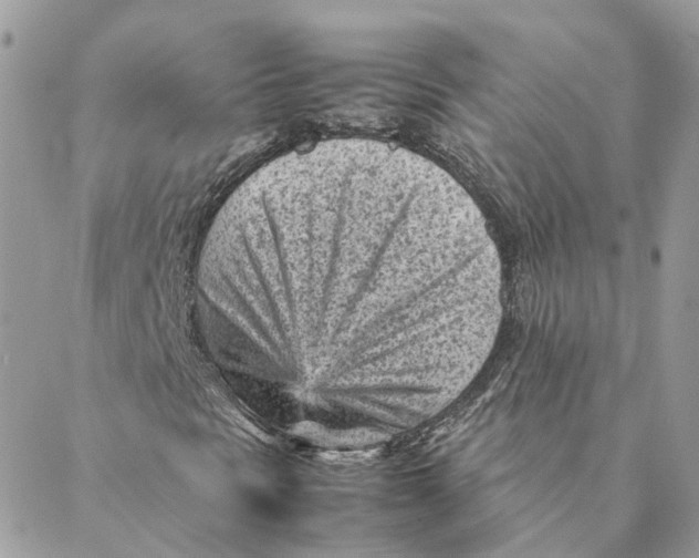 X0000088581297200706151701