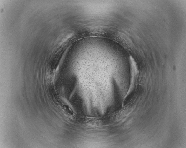 X0000088581298200706151701