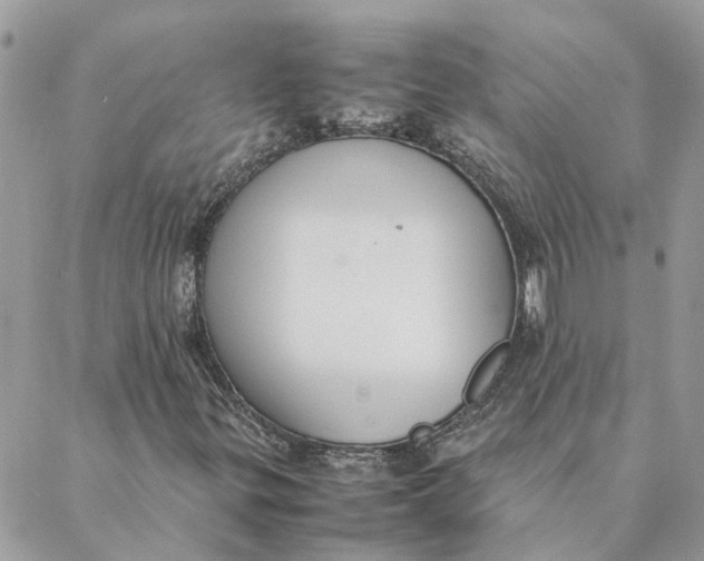 X0000088581299200706151701