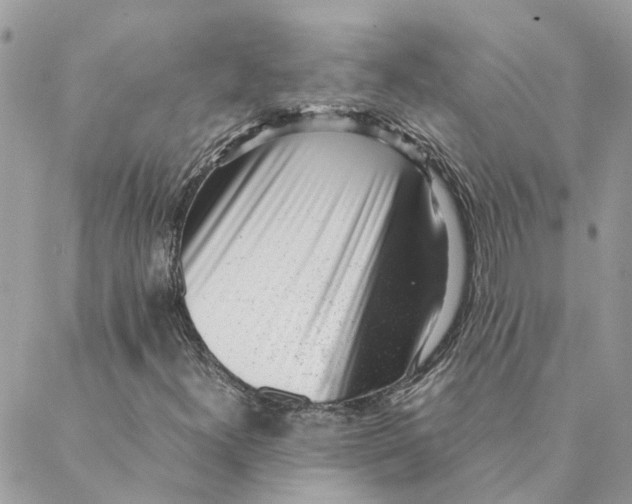 X0000088581300200706151701