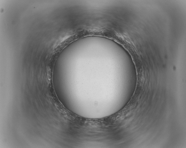 X0000088581301200706151701