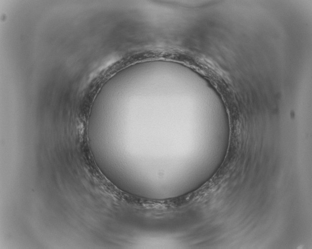 X0000088581302200706151701