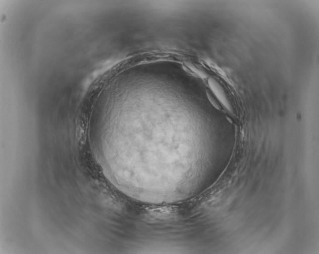 X0000088581303200706151701