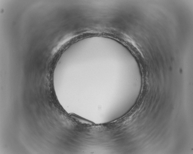 X0000088581304200706151701