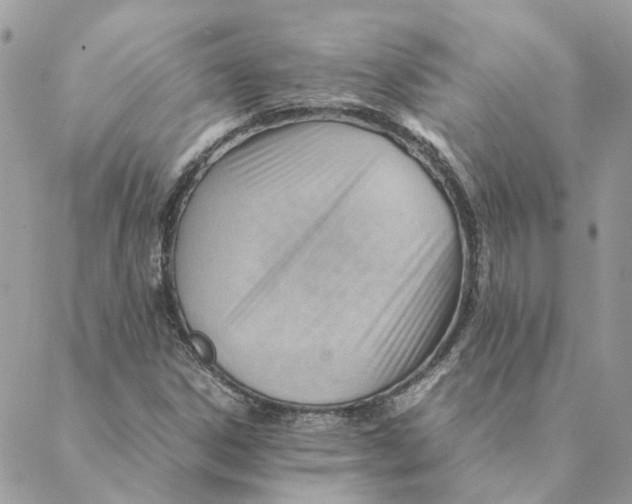 X0000088581306200706151701