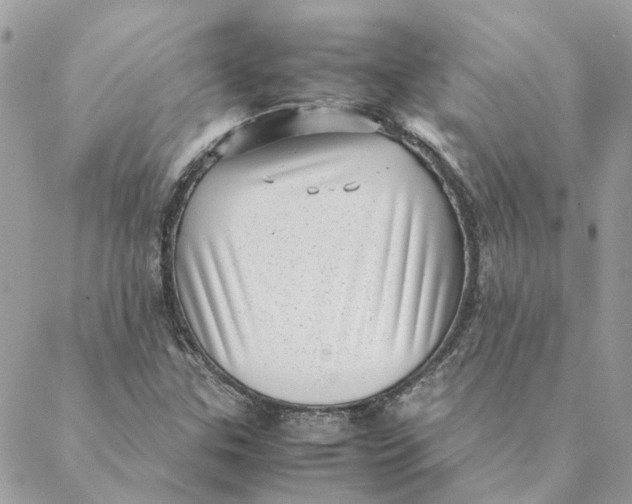 X0000088581307200706151701