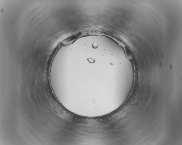 X0000088581308200706151701