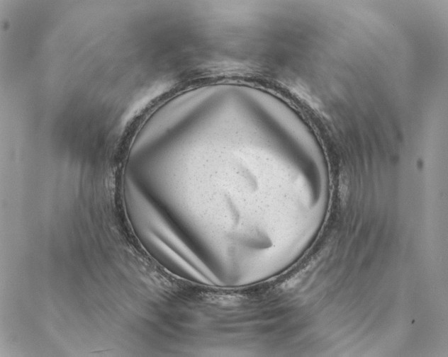 X0000088581309200706151701