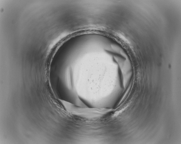 X0000088581310200706151701