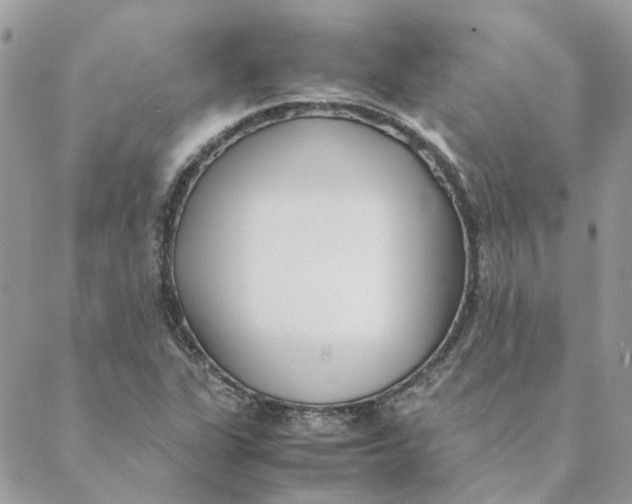 X0000088581311200706151701