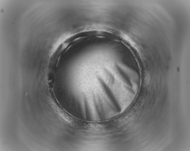 X0000088581312200706151701