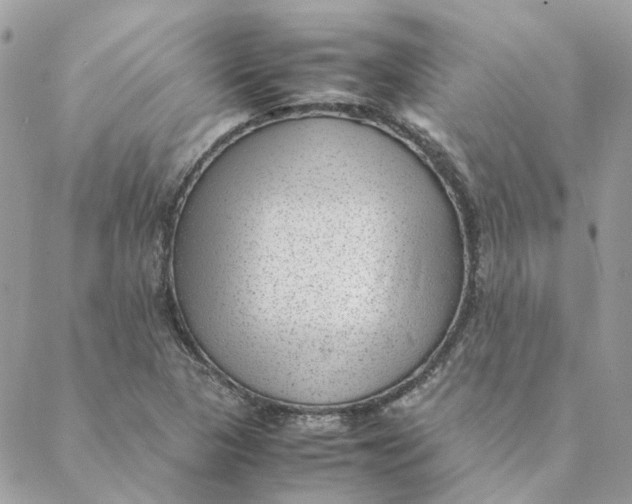 X0000088581313200706151701