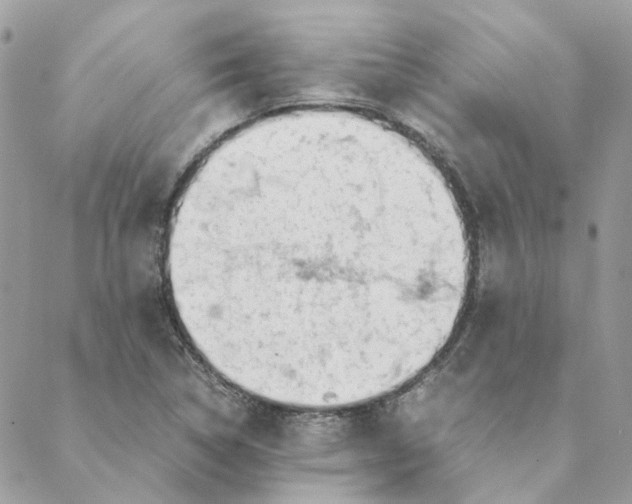 X0000088581314200706151701