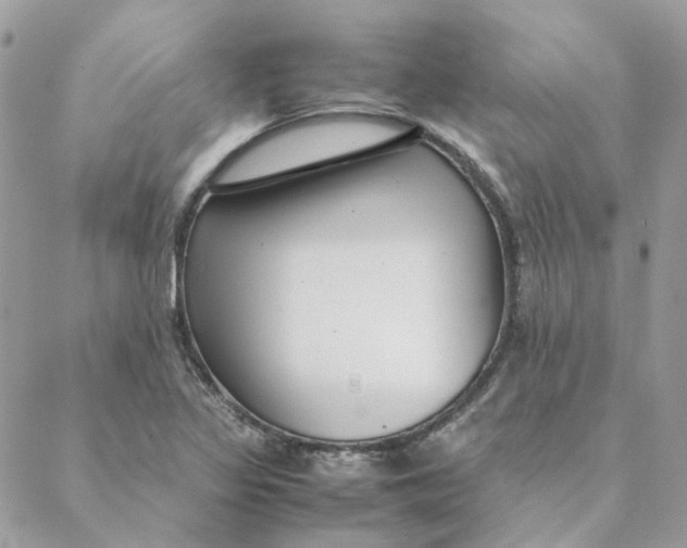 X0000088581317200706151701