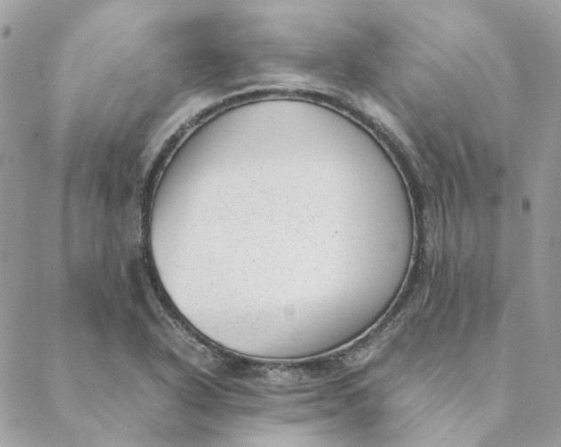 X0000088581318200706151701