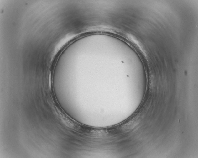 X0000088581320200706151701