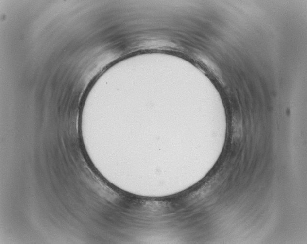 X0000088581322200706151701