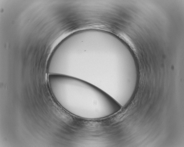 X0000088581324200706151702