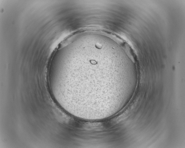 X0000088581325200706151702