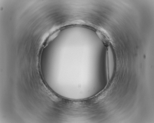 X0000088581326200706151702