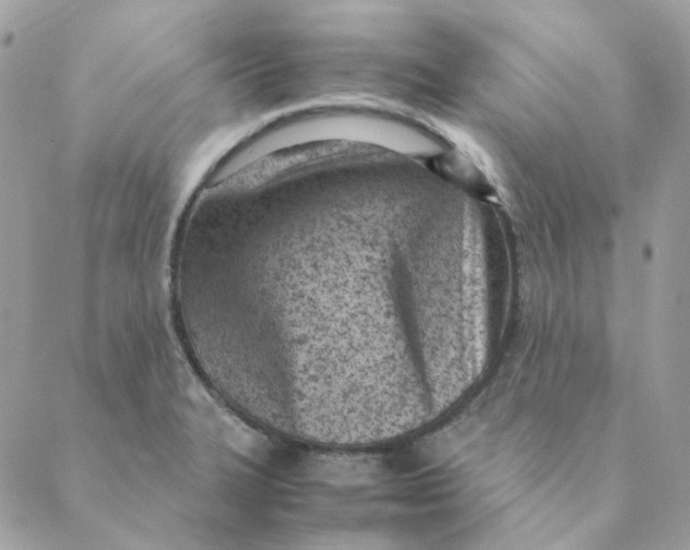 X0000088581327200706151702