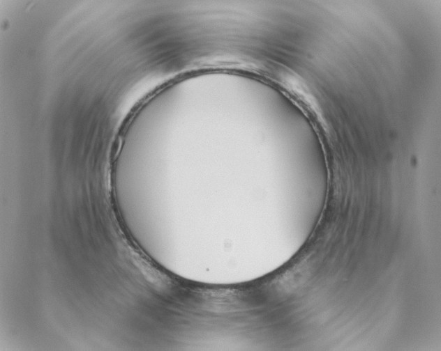 X0000088581328200706151702