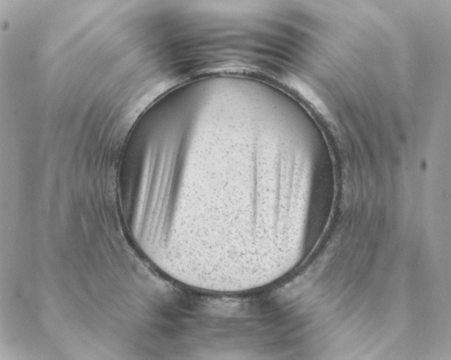 X0000088581329200706151702