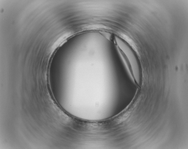 X0000088581330200706151702