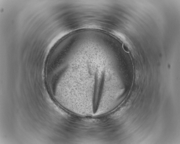 X0000088581331200706151702